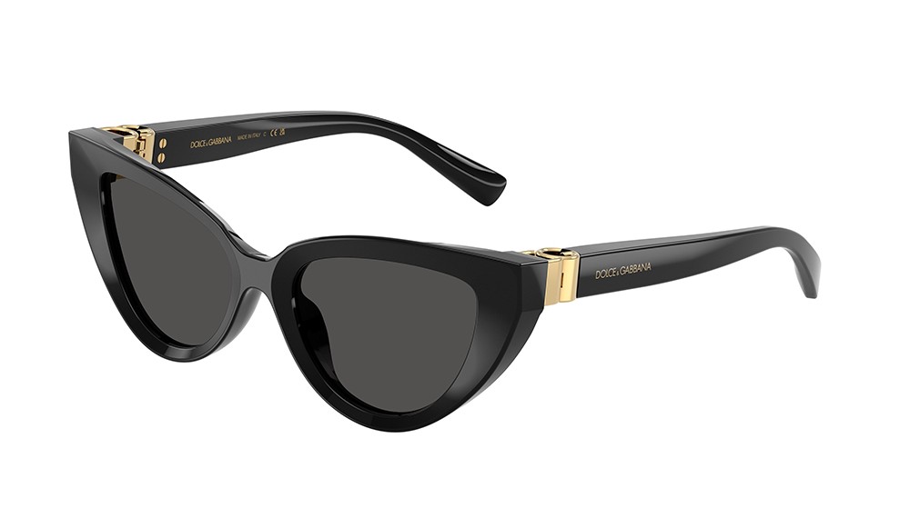 Sunglasses Dolce&Gabbana DG4497-501/87