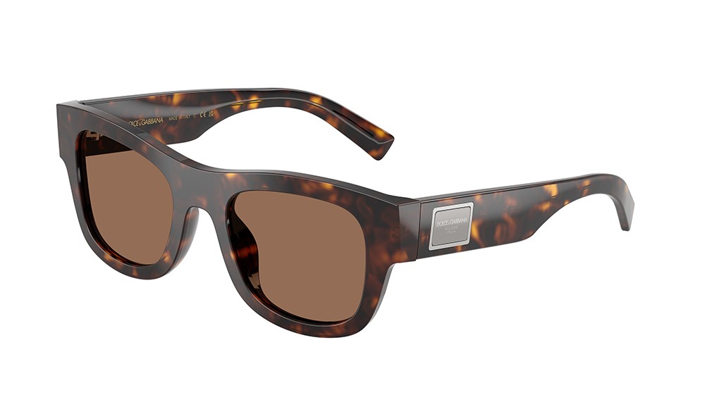 Sunglasses Dolce&Gabbana DG4509-502/73