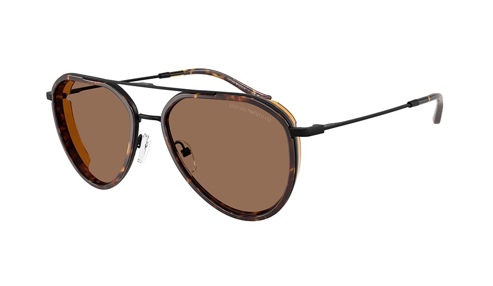 Sunglasses Emporio Armani EA2163-300173