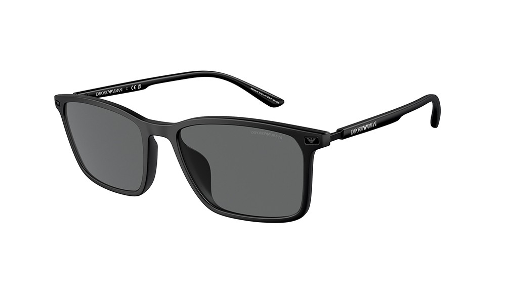 Sunglasses Emporio Armani EA4223U-500187