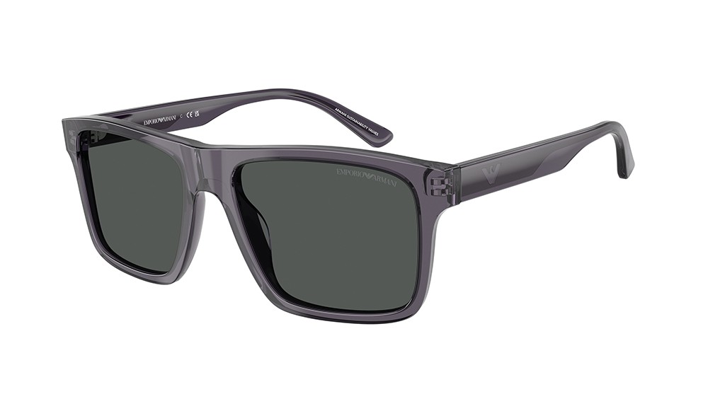 Sunglasses Emporio Armani EA4232-610687