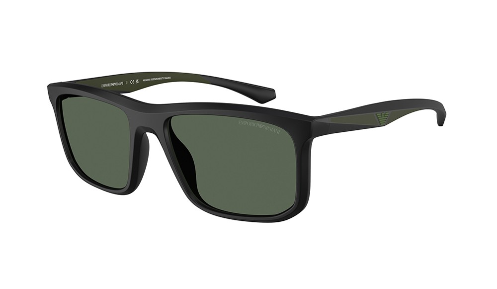 Sunglasses Emporio Armani EA4234U-500171