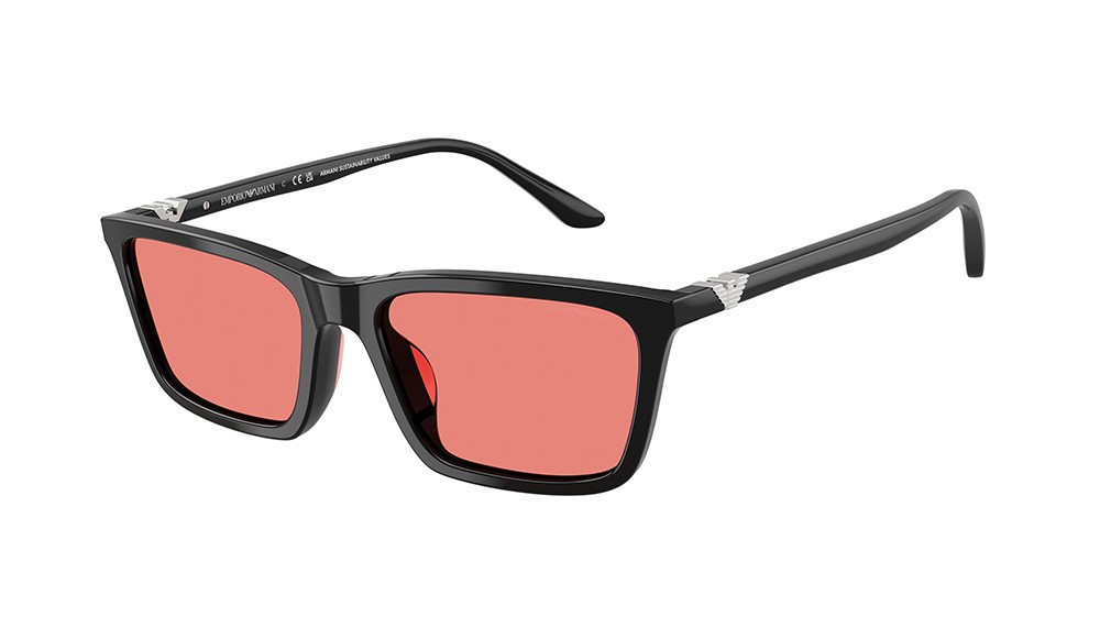 Sunglasses Emporio Armani EA4239U-501784