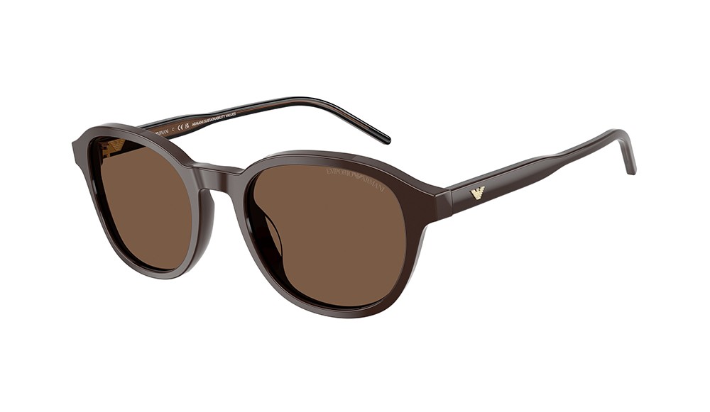 Sunglasses Emporio Armani EA4247U-625573