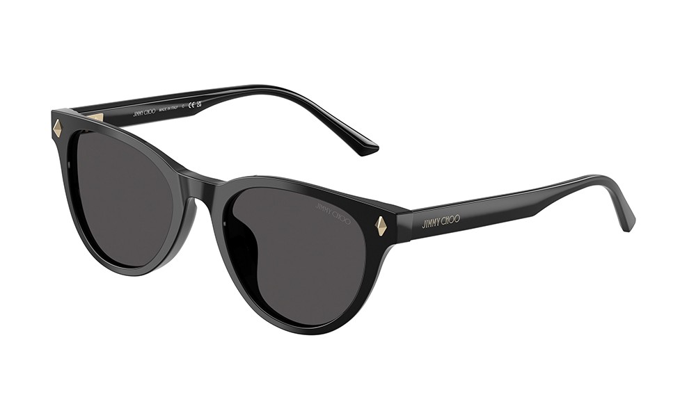 Sunglasses Jimmy Choo JC5043D-500087