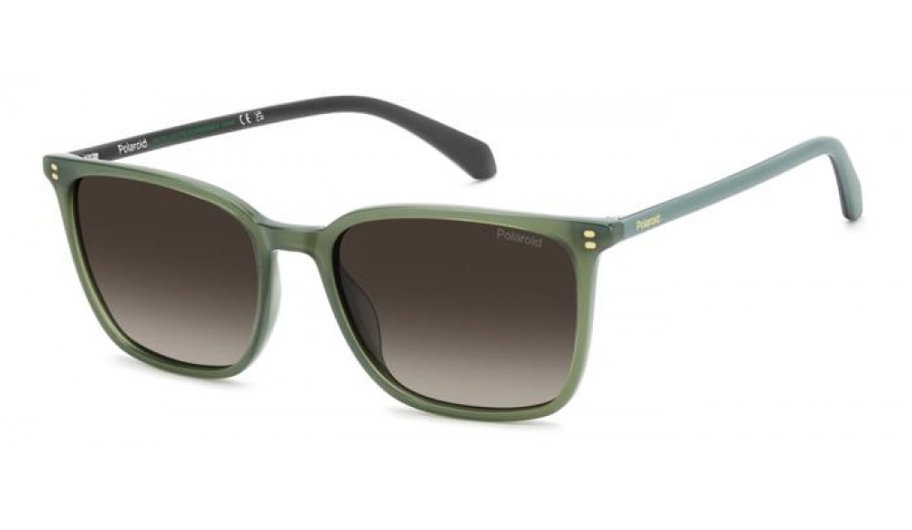 Sunglasses Polaroid PLD 4207/S/X-1ED (LA)
