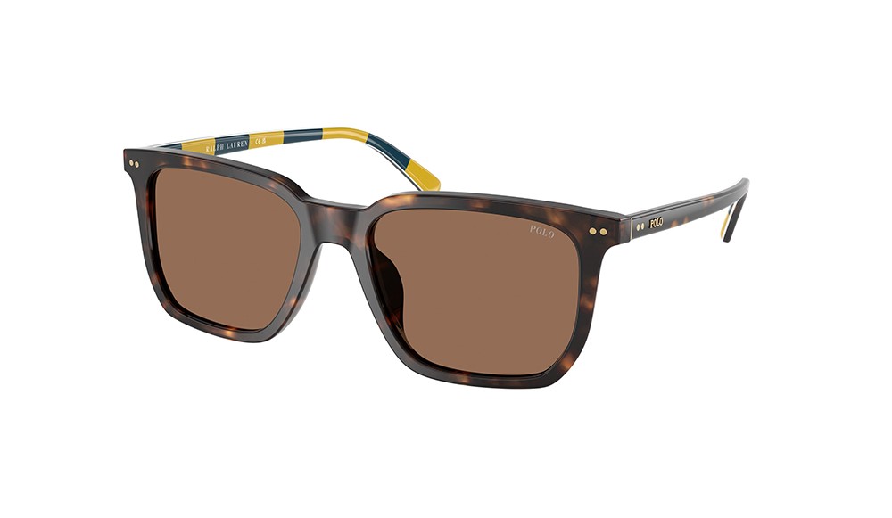 Sunglasses Polo PH4224U-500373