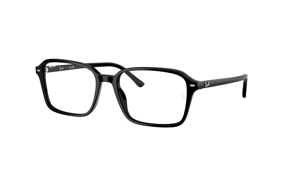  Ray-Ban ® RAIMOND RB2231-901/GG