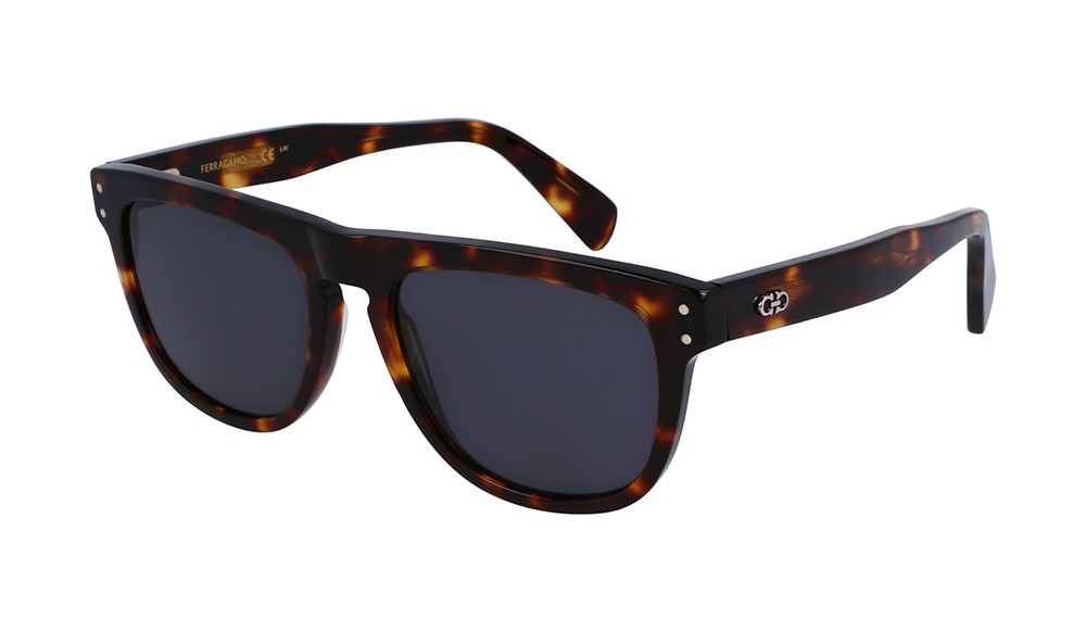 Sunglasses Salvatore Ferragamo SF1111S-242