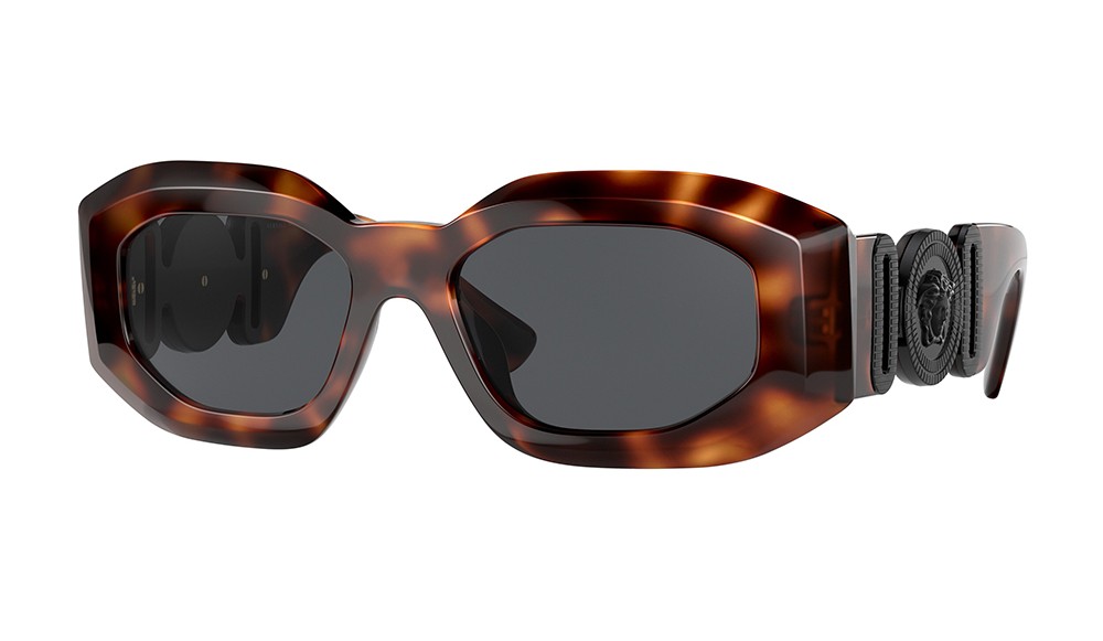 Sunglasses Versace VE4425U-521787