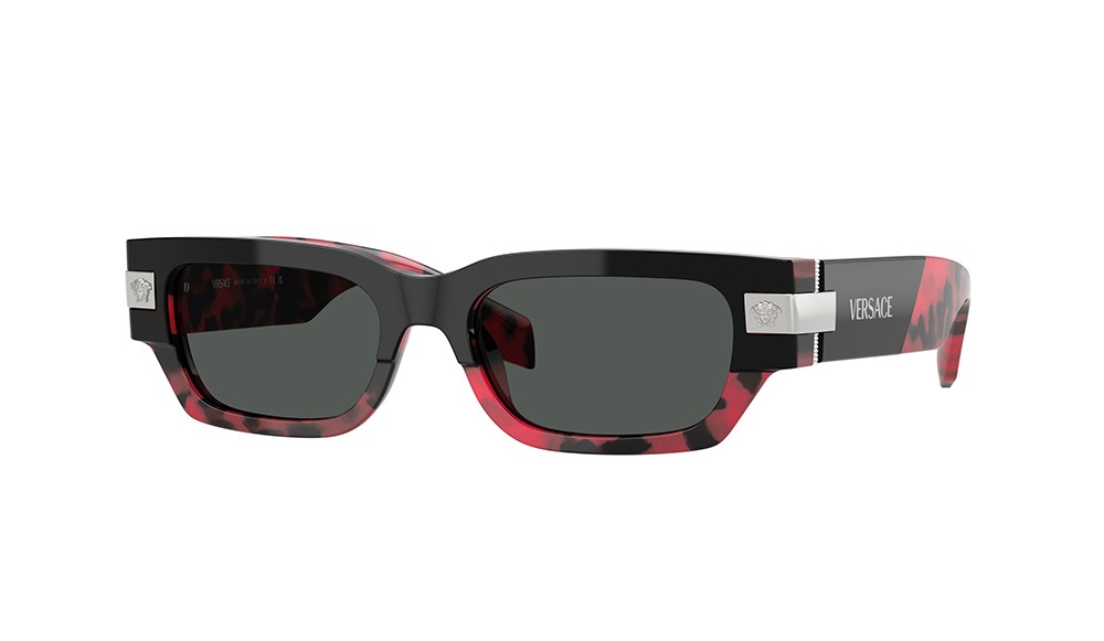 Sunglasses Versace VE4465-545787