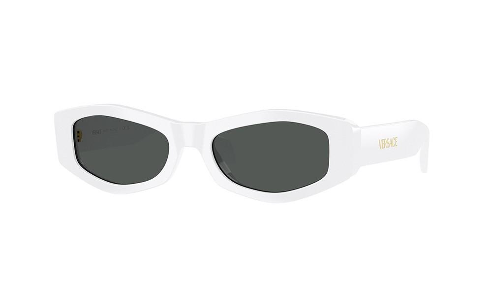 Sunglasses Versace VE4487-314/87