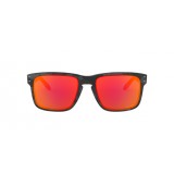  Oakley Holbrook OO9102-9102E9