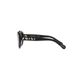 Sunglasses Swarovski SK6005-10018G