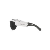 Sunglasses Swarovski SK6014-102987