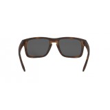  Oakley Holbrook OO9102-9102F4