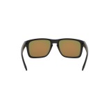  Oakley Holbrook xl OO9417-941704