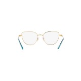  Swarovski SK1007-4021-55